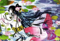 精致的漫画,一瞥艺术与生活的完美融合